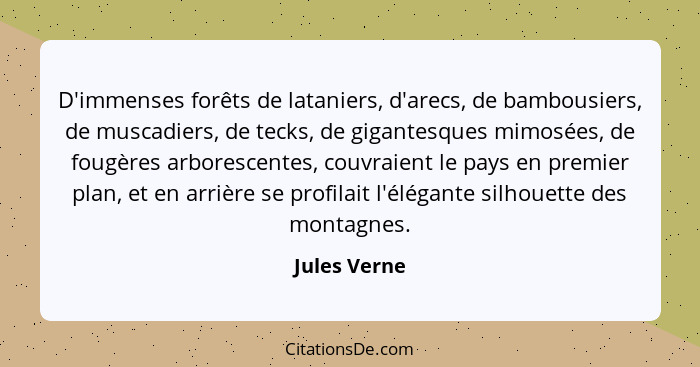 D'immenses forêts de lataniers, d'arecs, de bambousiers, de muscadiers, de tecks, de gigantesques mimosées, de fougères arborescentes, c... - Jules Verne
