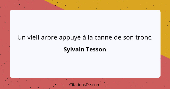 Un vieil arbre appuyé à la canne de son tronc.... - Sylvain Tesson