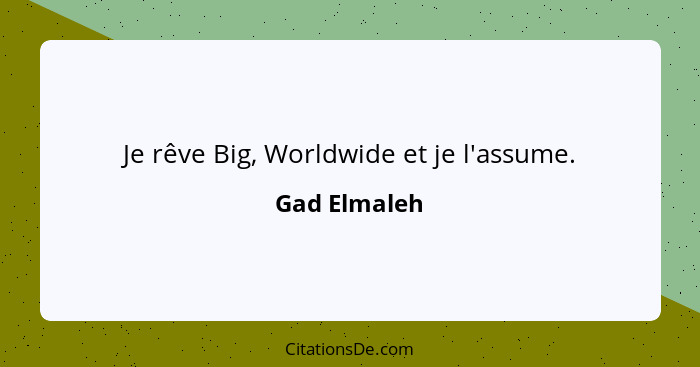 Je rêve Big, Worldwide et je l'assume.... - Gad Elmaleh