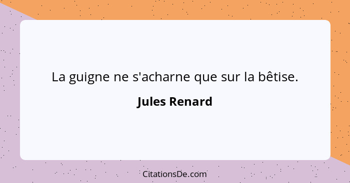 La guigne ne s'acharne que sur la bêtise.... - Jules Renard