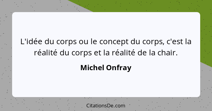 L'idée du corps ou le concept du corps, c'est la réalité du corps et la réalité de la chair.... - Michel Onfray