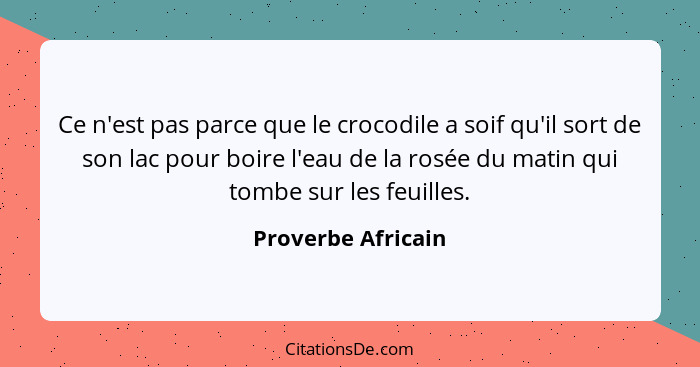 Ce n'est pas parce que le crocodile a soif qu'il sort de son lac pour boire l'eau de la rosée du matin qui tombe sur les feuilles.... - Proverbe Africain