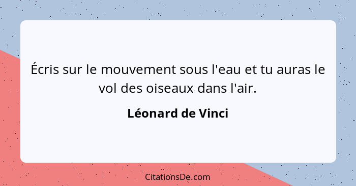 Écris sur le mouvement sous l'eau et tu auras le vol des oiseaux dans l'air.... - Léonard de Vinci