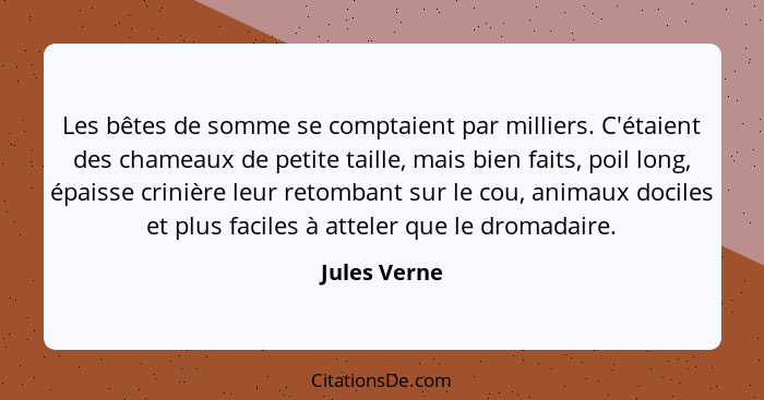 Les bêtes de somme se comptaient par milliers. C'étaient des chameaux de petite taille, mais bien faits, poil long, épaisse crinière leu... - Jules Verne