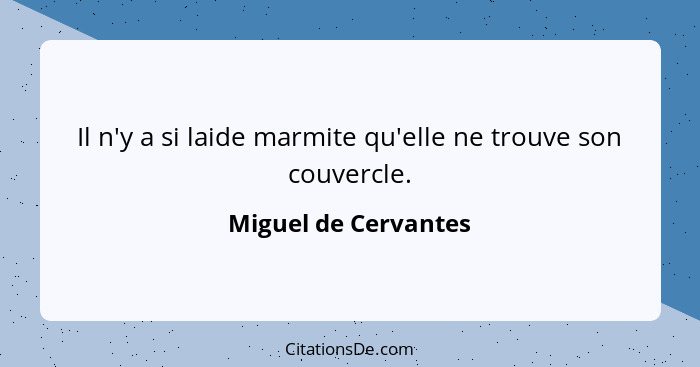 Il n'y a si laide marmite qu'elle ne trouve son couvercle.... - Miguel de Cervantes