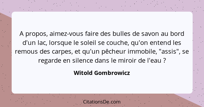 A propos, aimez-vous faire des bulles de savon au bord d'un lac, lorsque le soleil se couche, qu'on entend les remous des carpes,... - Witold Gombrowicz