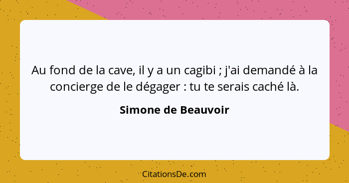 Au fond de la cave, il y a un cagibi ; j'ai demandé à la concierge de le dégager : tu te serais caché là.... - Simone de Beauvoir