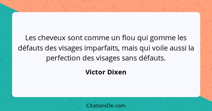 Les cheveux sont comme un flou qui gomme les défauts des visages imparfaits, mais qui voile aussi la perfection des visages sans défaut... - Victor Dixen