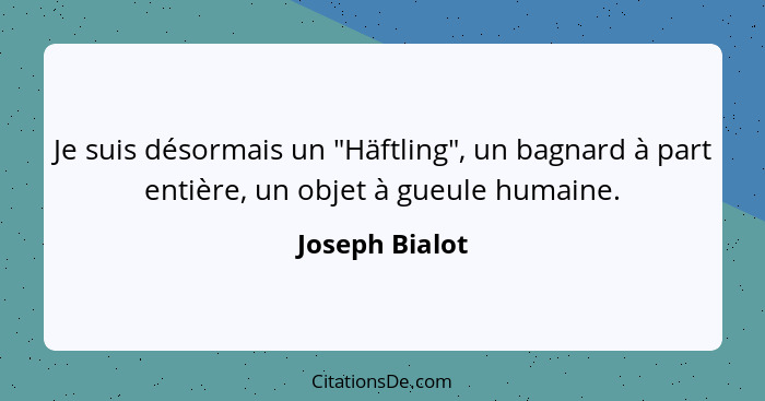 Je suis désormais un "Häftling", un bagnard à part entière, un objet à gueule humaine.... - Joseph Bialot