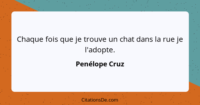 Chaque fois que je trouve un chat dans la rue je l'adopte.... - Penélope Cruz