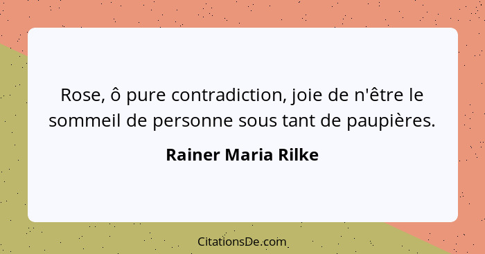 Rose, ô pure contradiction, joie de n'être le sommeil de personne sous tant de paupières.... - Rainer Maria Rilke