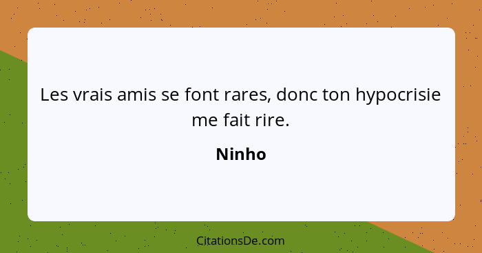 Les vrais amis se font rares, donc ton hypocrisie me fait rire.... - Ninho