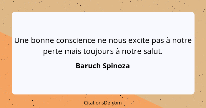 Une bonne conscience ne nous excite pas à notre perte mais toujours à notre salut.... - Baruch Spinoza