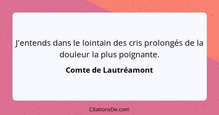 J'entends dans le lointain des cris prolongés de la douleur la plus poignante.... - Comte de Lautréamont