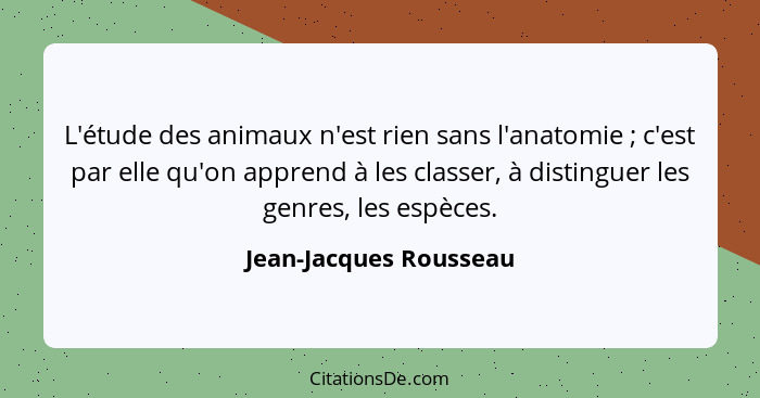 L'étude des animaux n'est rien sans l'anatomie ; c'est par elle qu'on apprend à les classer, à distinguer les genres, les... - Jean-Jacques Rousseau