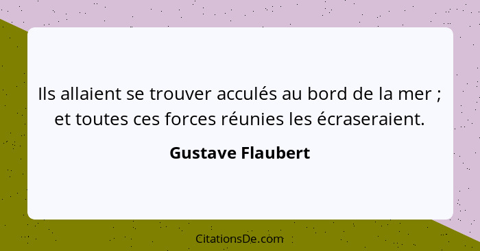 Ils allaient se trouver acculés au bord de la mer ; et toutes ces forces réunies les écraseraient.... - Gustave Flaubert