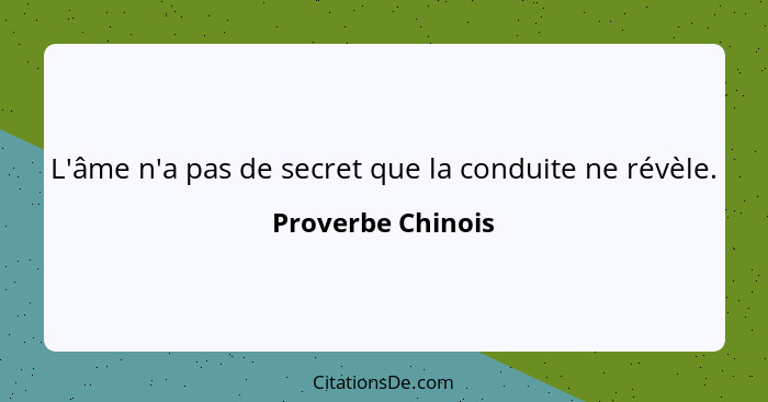 L'âme n'a pas de secret que la conduite ne révèle.... - Proverbe Chinois