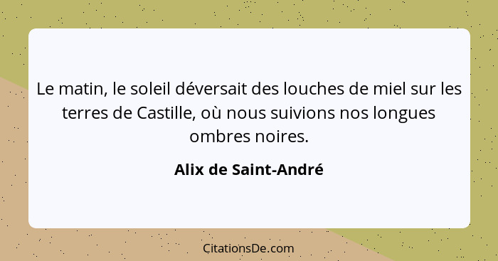 Le matin, le soleil déversait des louches de miel sur les terres de Castille, où nous suivions nos longues ombres noires.... - Alix de Saint-André