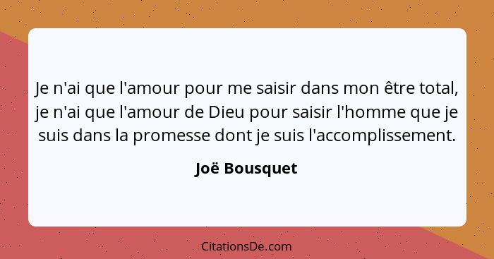 Je n'ai que l'amour pour me saisir dans mon être total, je n'ai que l'amour de Dieu pour saisir l'homme que je suis dans la promesse do... - Joë Bousquet