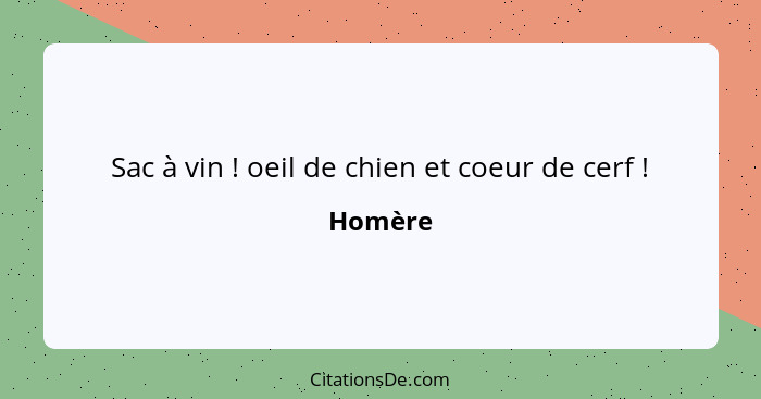 Sac à vin ! oeil de chien et coeur de cerf !... - Homère