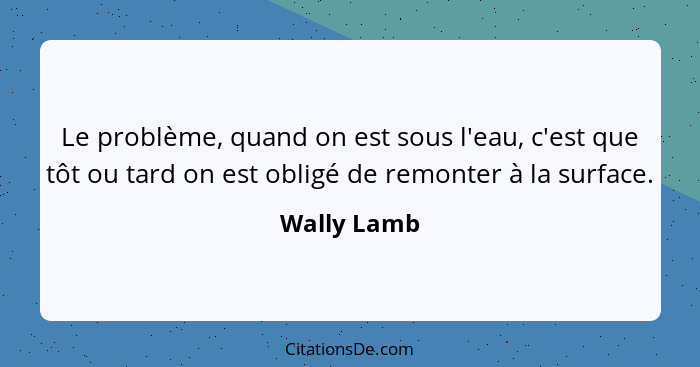 Le problème, quand on est sous l'eau, c'est que tôt ou tard on est obligé de remonter à la surface.... - Wally Lamb