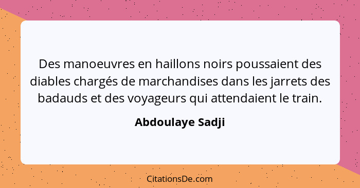 Des manoeuvres en haillons noirs poussaient des diables chargés de marchandises dans les jarrets des badauds et des voyageurs qui at... - Abdoulaye Sadji