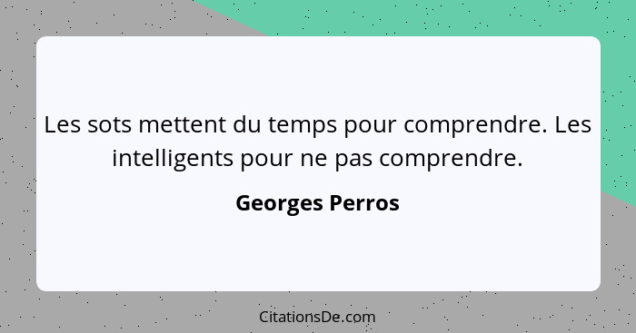 Les sots mettent du temps pour comprendre. Les intelligents pour ne pas comprendre.... - Georges Perros