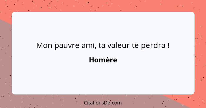 Mon pauvre ami, ta valeur te perdra !... - Homère