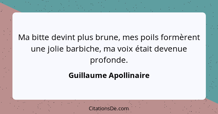 Ma bitte devint plus brune, mes poils formèrent une jolie barbiche, ma voix était devenue profonde.... - Guillaume Apollinaire