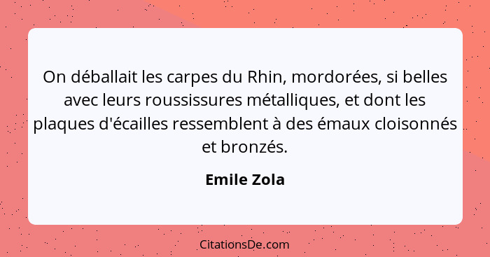 On déballait les carpes du Rhin, mordorées, si belles avec leurs roussissures métalliques, et dont les plaques d'écailles ressemblent à d... - Emile Zola