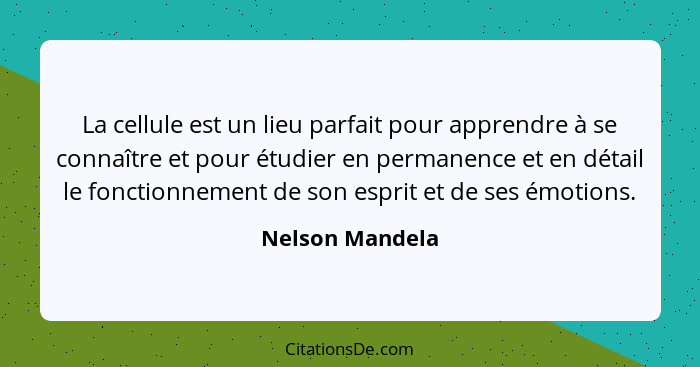 La cellule est un lieu parfait pour apprendre à se connaître et pour étudier en permanence et en détail le fonctionnement de son espr... - Nelson Mandela