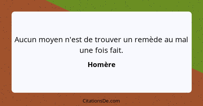 Aucun moyen n'est de trouver un remède au mal une fois fait.... - Homère