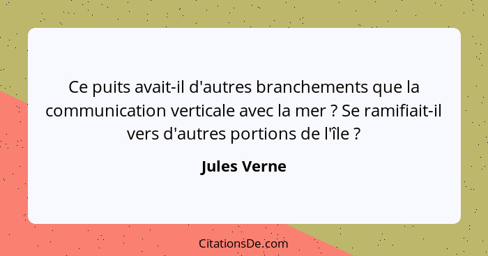 Ce puits avait-il d'autres branchements que la communication verticale avec la mer ? Se ramifiait-il vers d'autres portions de l'îl... - Jules Verne