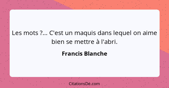 Les mots ?... C'est un maquis dans lequel on aime bien se mettre à l'abri.... - Francis Blanche