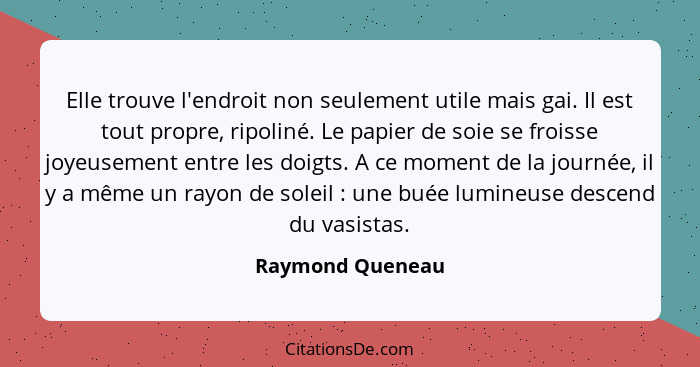 Elle trouve l'endroit non seulement utile mais gai. Il est tout propre, ripoliné. Le papier de soie se froisse joyeusement entre les... - Raymond Queneau