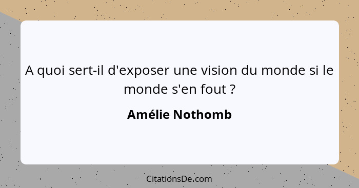 A quoi sert-il d'exposer une vision du monde si le monde s'en fout ?... - Amélie Nothomb