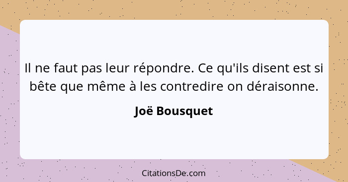 Il ne faut pas leur répondre. Ce qu'ils disent est si bête que même à les contredire on déraisonne.... - Joë Bousquet