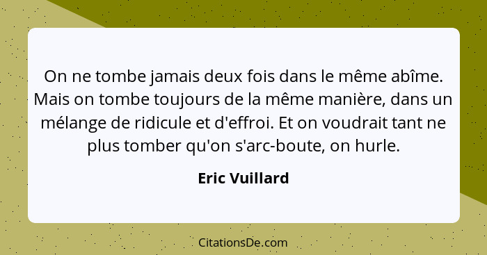 On ne tombe jamais deux fois dans le même abîme. Mais on tombe toujours de la même manière, dans un mélange de ridicule et d'effroi. E... - Eric Vuillard