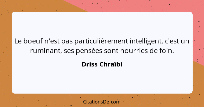 Le boeuf n'est pas particulièrement intelligent, c'est un ruminant, ses pensées sont nourries de foin.... - Driss Chraïbi