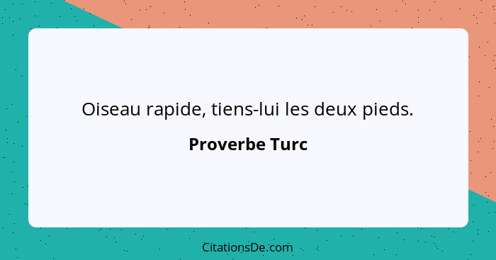 Oiseau rapide, tiens-lui les deux pieds.... - Proverbe Turc