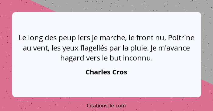 Le long des peupliers je marche, le front nu, Poitrine au vent, les yeux flagellés par la pluie. Je m'avance hagard vers le but inconnu... - Charles Cros