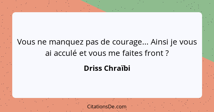 Vous ne manquez pas de courage... Ainsi je vous ai acculé et vous me faites front ?... - Driss Chraïbi