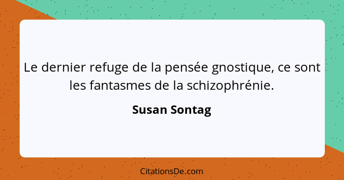 Le dernier refuge de la pensée gnostique, ce sont les fantasmes de la schizophrénie.... - Susan Sontag