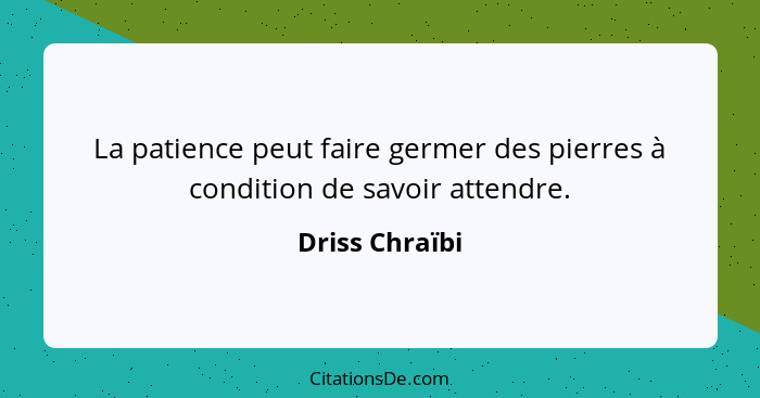 La patience peut faire germer des pierres à condition de savoir attendre.... - Driss Chraïbi