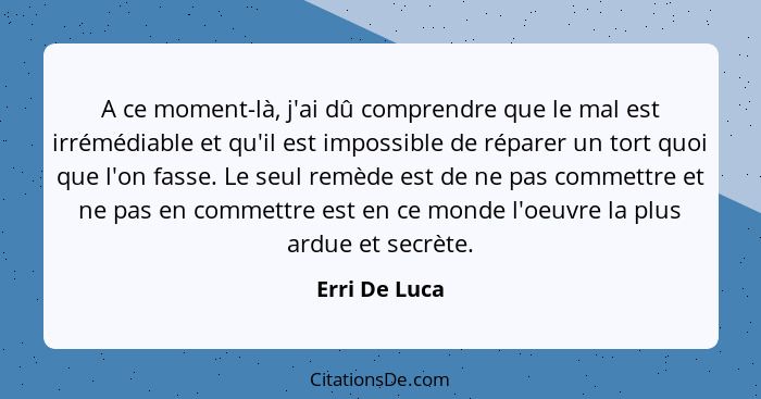 A ce moment-là, j'ai dû comprendre que le mal est irrémédiable et qu'il est impossible de réparer un tort quoi que l'on fasse. Le seul... - Erri De Luca