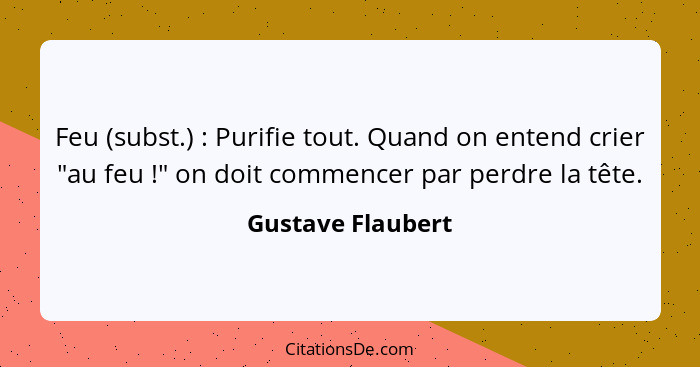 Feu (subst.) : Purifie tout. Quand on entend crier "au feu !" on doit commencer par perdre la tête.... - Gustave Flaubert