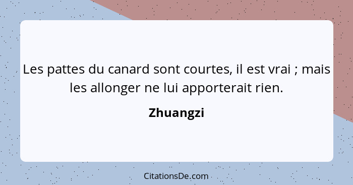 Les pattes du canard sont courtes, il est vrai ; mais les allonger ne lui apporterait rien.... - Zhuangzi