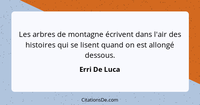 Les arbres de montagne écrivent dans l'air des histoires qui se lisent quand on est allongé dessous.... - Erri De Luca