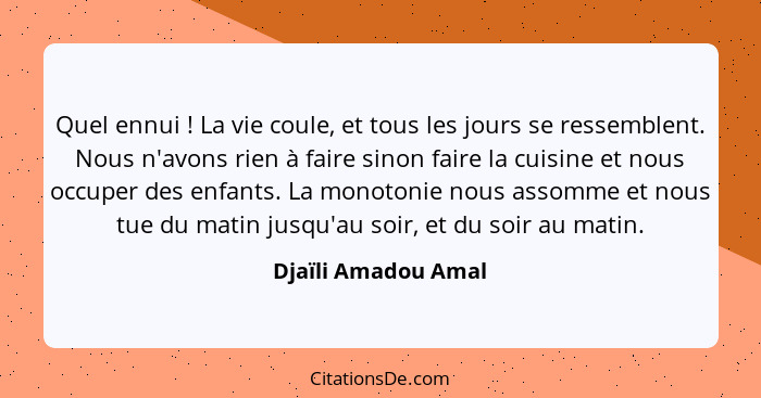 Quel ennui ! La vie coule, et tous les jours se ressemblent. Nous n'avons rien à faire sinon faire la cuisine et nous occupe... - Djaïli Amadou Amal