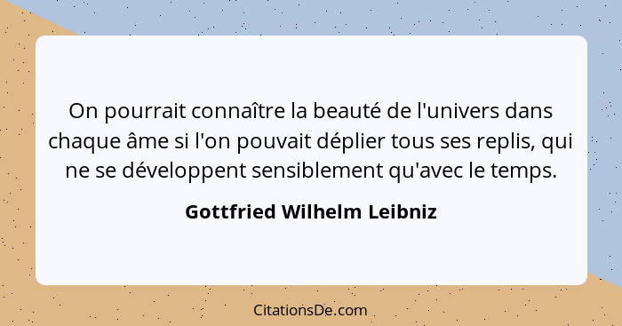 On pourrait connaître la beauté de l'univers dans chaque âme si l'on pouvait déplier tous ses replis, qui ne se développen... - Gottfried Wilhelm Leibniz